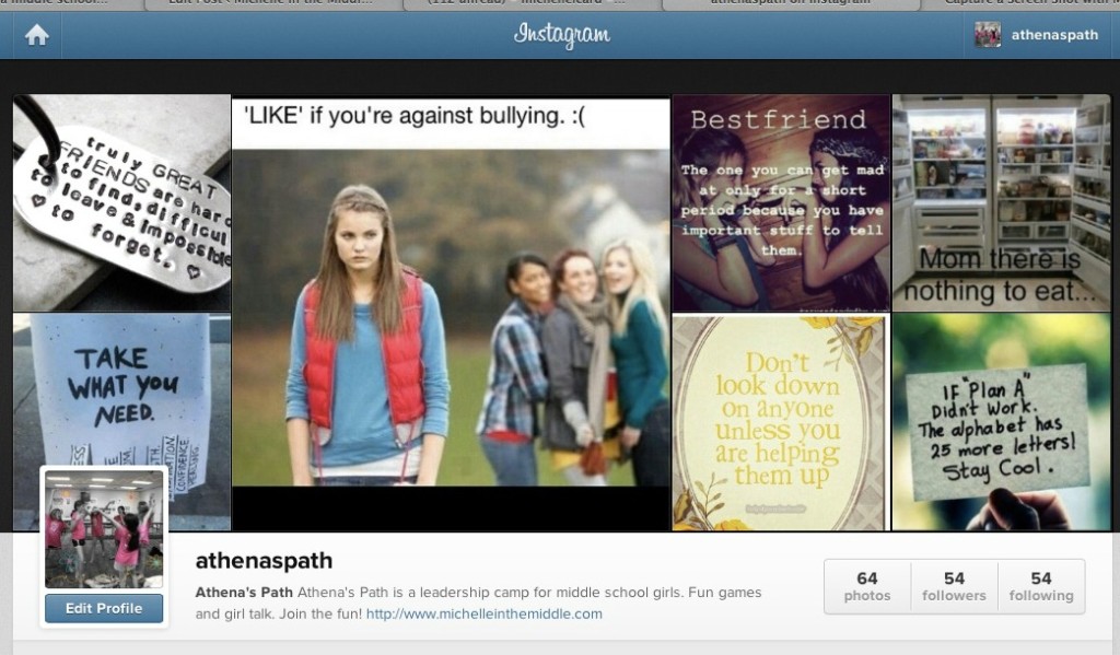Instagram Screen Grab