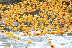 Kindermourn Hope Floats Duck Race