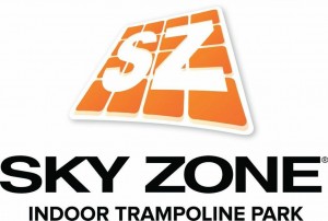 Sky Zone Logo