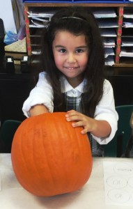 2016-kindergarten-pumpkin-math