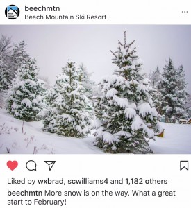 Beech Winter Wonderland