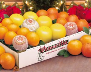 Give the Gift of Indian River Citrus